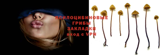 2c-b Алзамай