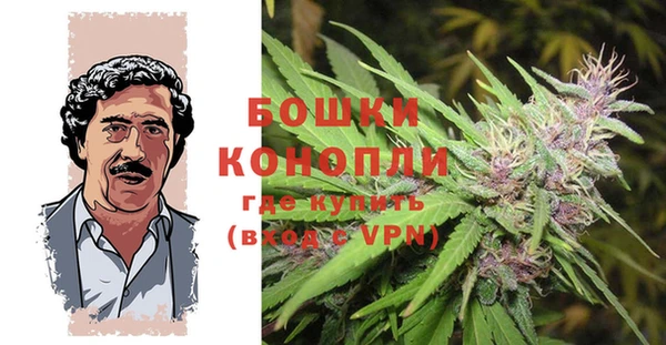 2c-b Алзамай