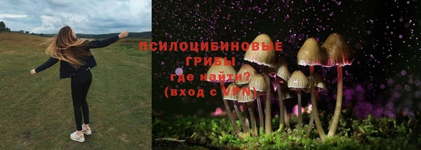 2c-b Алзамай