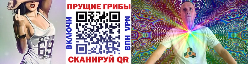 где продают   darknet состав  Галлюциногенные грибы Psilocybine cubensis  Самара 
